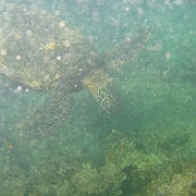 Picture 114